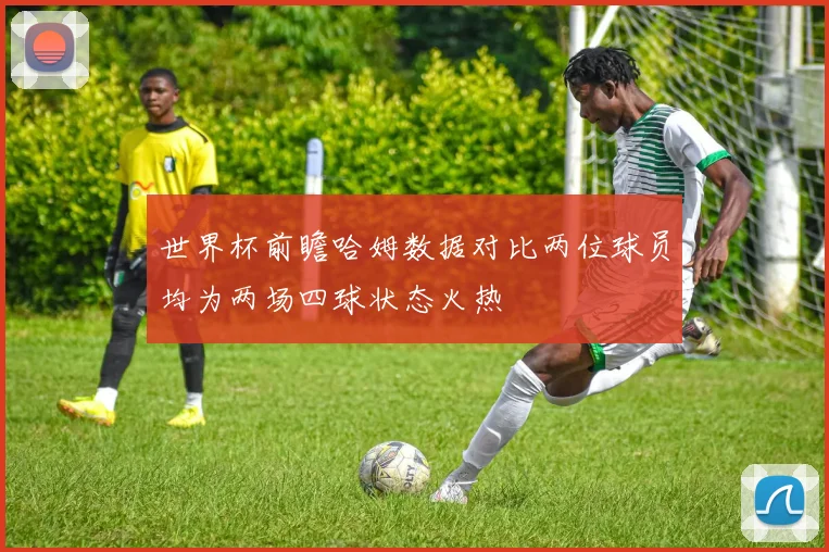 世界杯前瞻哈姆数据对比两位球员均为两场四球状态火热